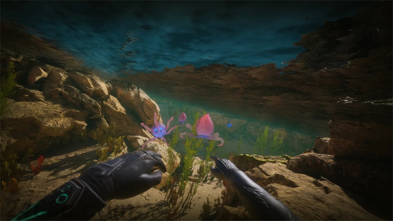 scftro.jpg scftro.jpg